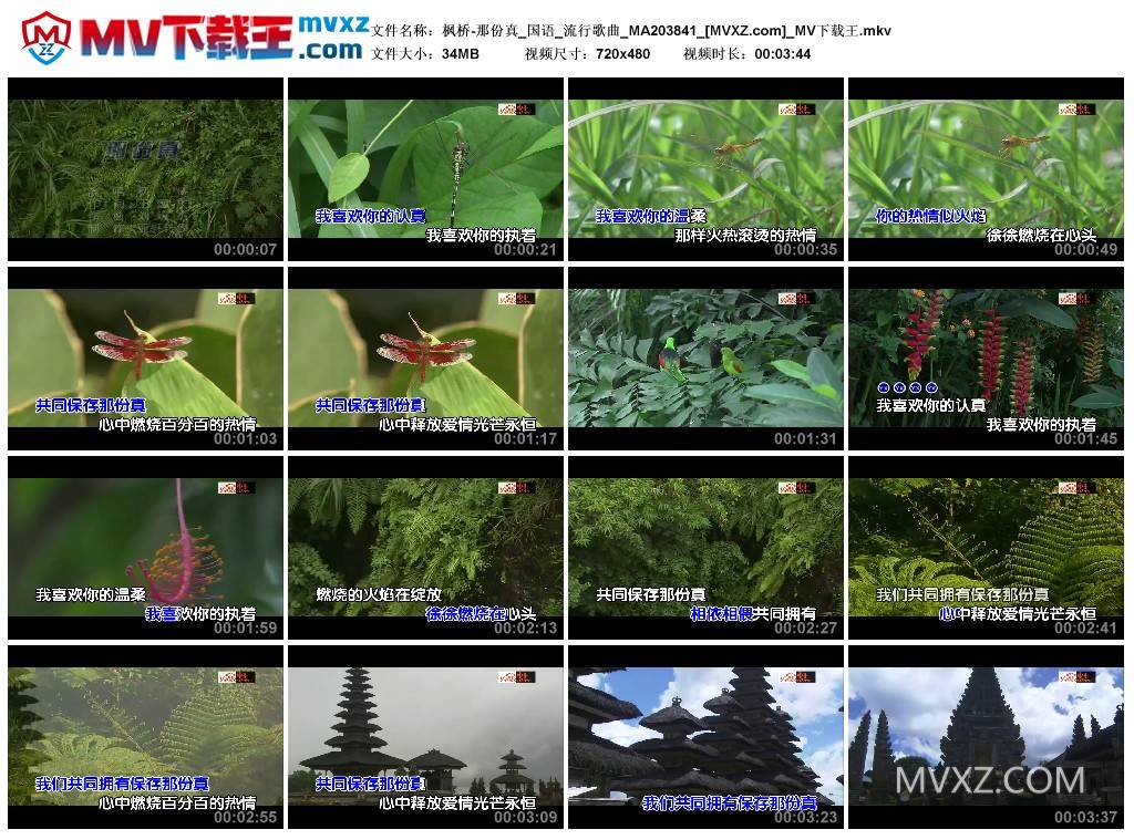 枫桥-那份真_国语_流行歌曲_MA203841